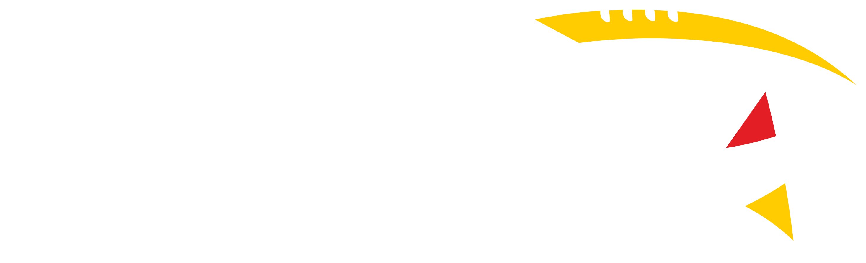 Football Deutschland